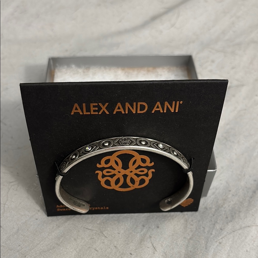 Alex and Ani Silver Jewelry Bangle